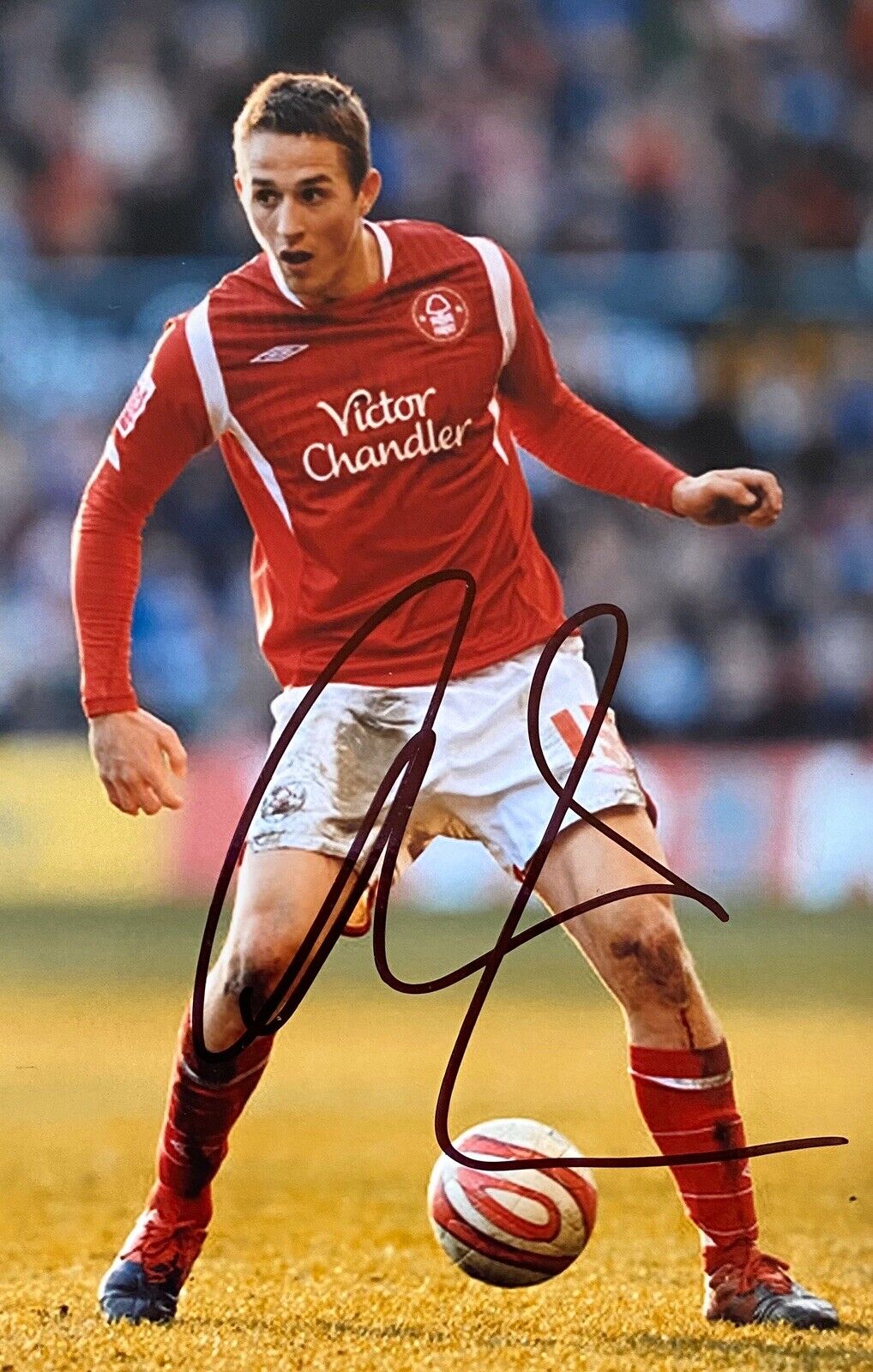 Chris Cohen Genuine Hand Signed 6X4 Photo Poster painting - Nottingham Forrest 2