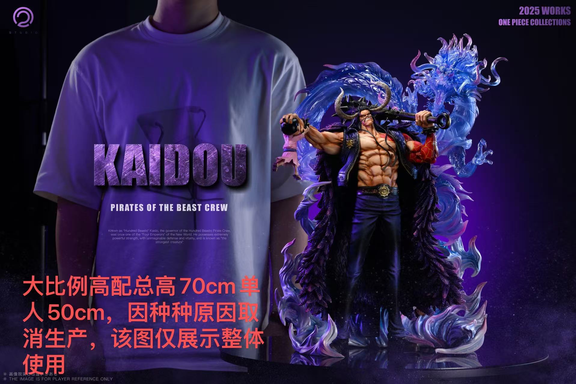 ONE PIECE コレクションメダル ランダム10枚 Anime One Piece Kaido WM2756 Minifigures - Brixtoy