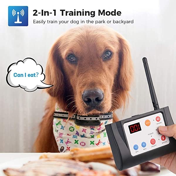 WIEZ Dog Fence Wireless & Training Collar Outdoor 2in1, Electric