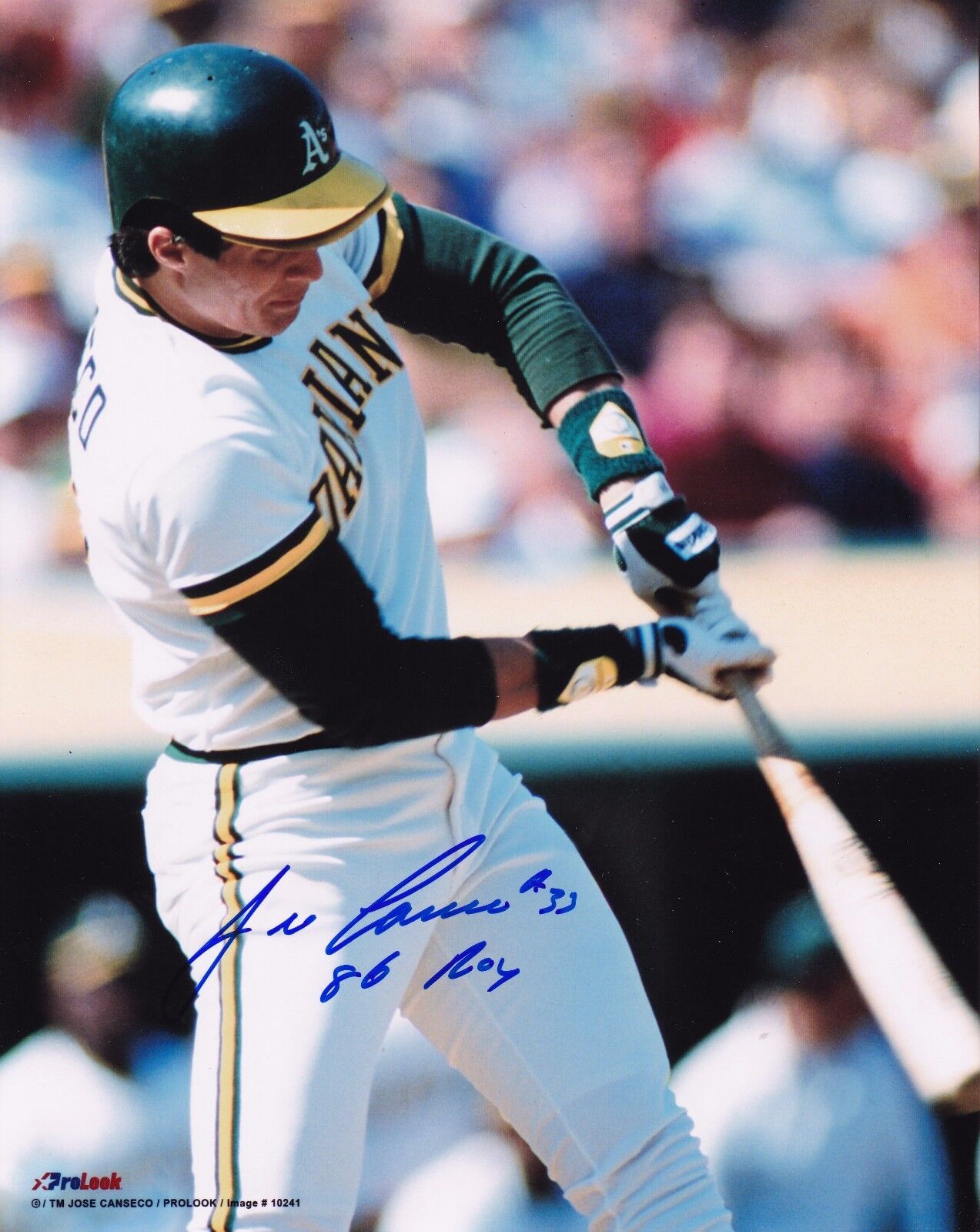 Jose Canseco autographed 8x10 Oakland Athletics #286 Roy