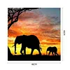 uk.everydayedeals (Limited Stock)Paint By Number - Oil Painting -  Elephant (40*40Cm)