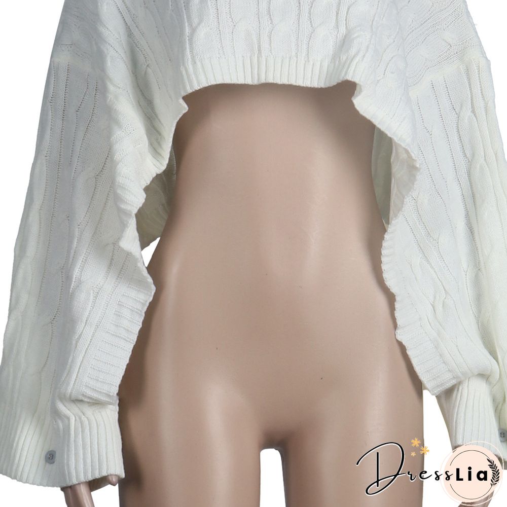 Solid Color Turtleneck Bat Sleeve Sweater Crop Top