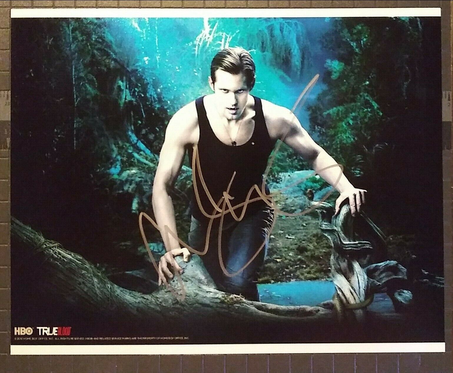 Alexander Skarsgard signed 8x10