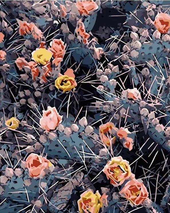 

Purple Prickly Pear Blooms – Paint By Numbers - 40*50CM, 501 Original