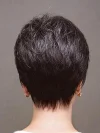 Mix Color Black to Gray Short Wig