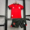 2024 Denmark Home Football Shirt Kids Size 1:1 Thai Quality