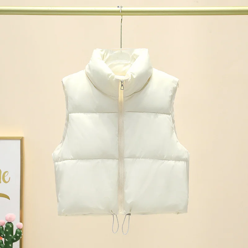Toloer Vagajia Female 2024 Autumn Winter New Simple Versatile Stand Collar Zipper Drawrope Waist Design Sense Plus Thick Cotton Coat-Outfit Ideas