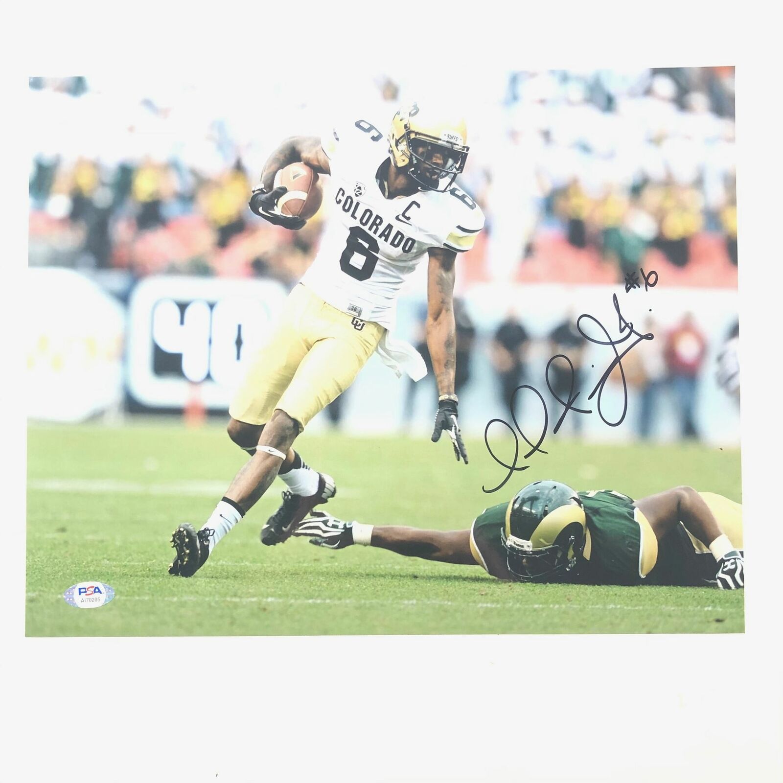 Paul Richardson signed 11x14 Photo Poster painting PSA/DNA Colorado Buffaloes Autographed