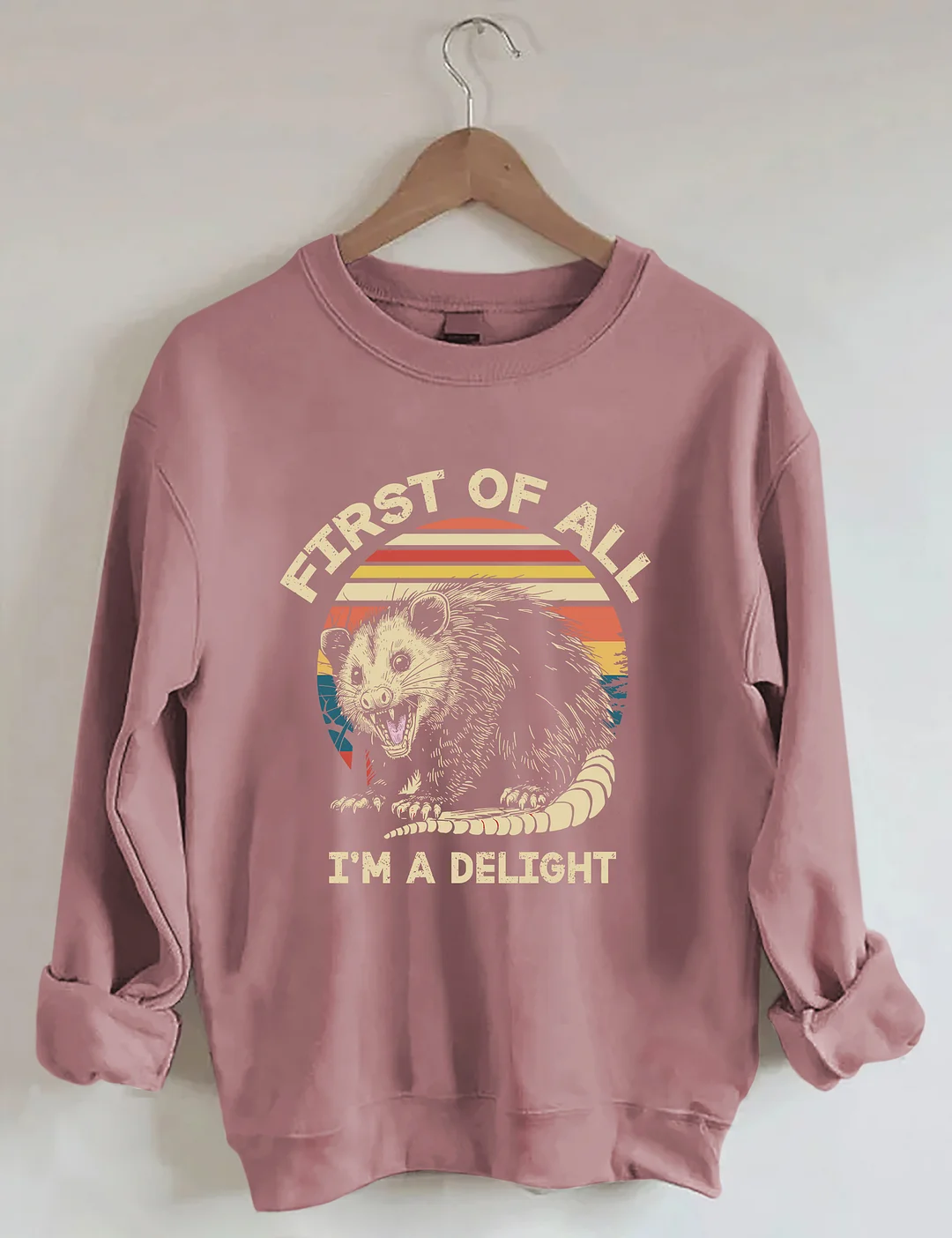 First Of All I'm A Delight Sarcastic Angry Opossum Lover Sweatshirt
