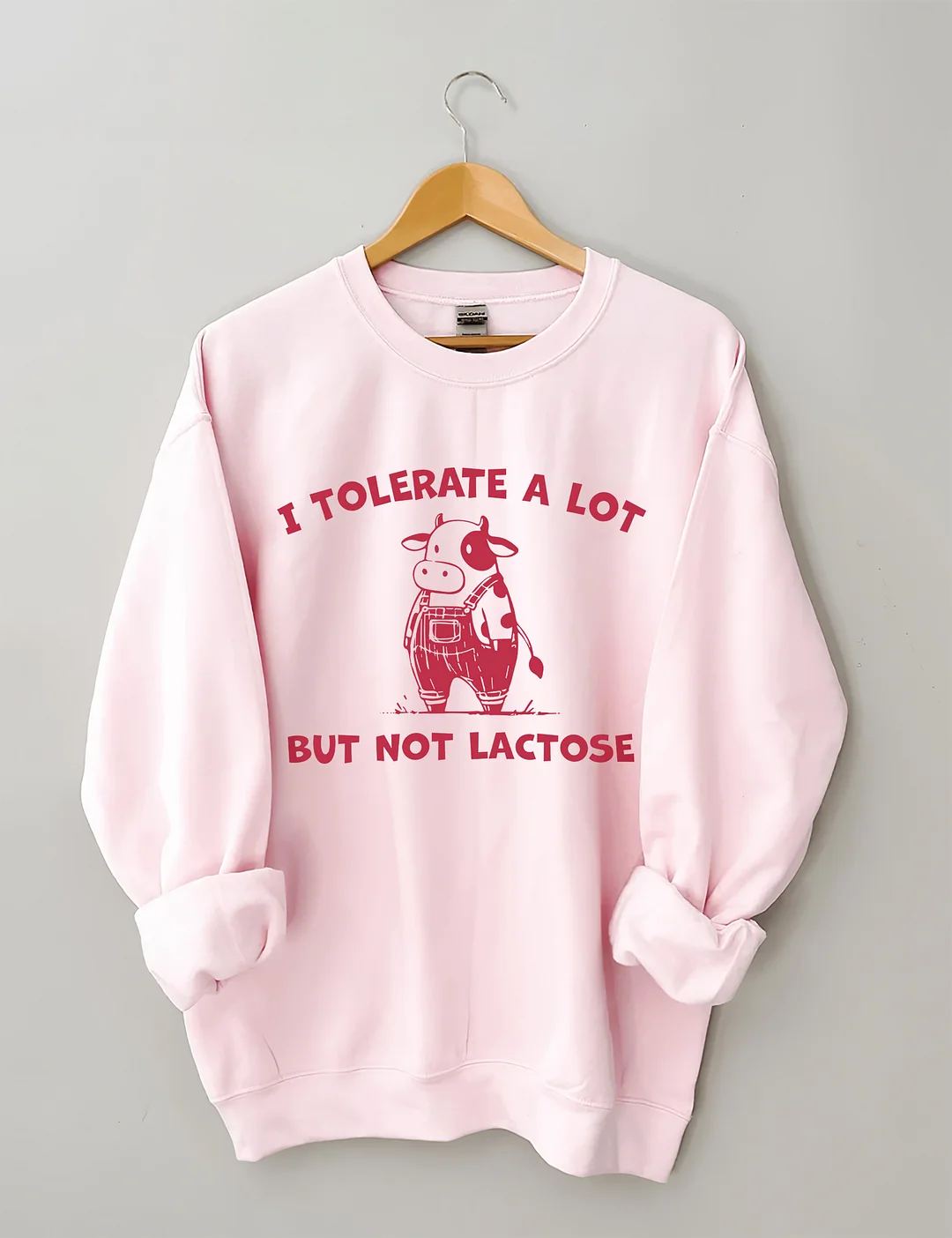 I Tolerate A Lot But Not Lactose Funny Sweatshirt