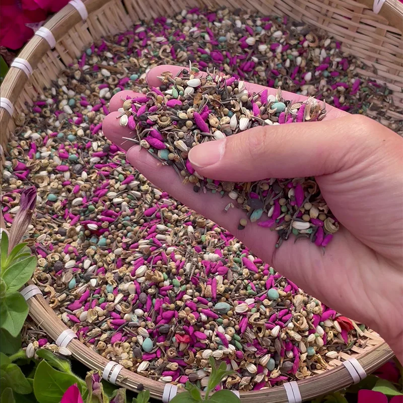 The Enchanted Garden - Over 50 Varieties Mixed Perennial Seeds