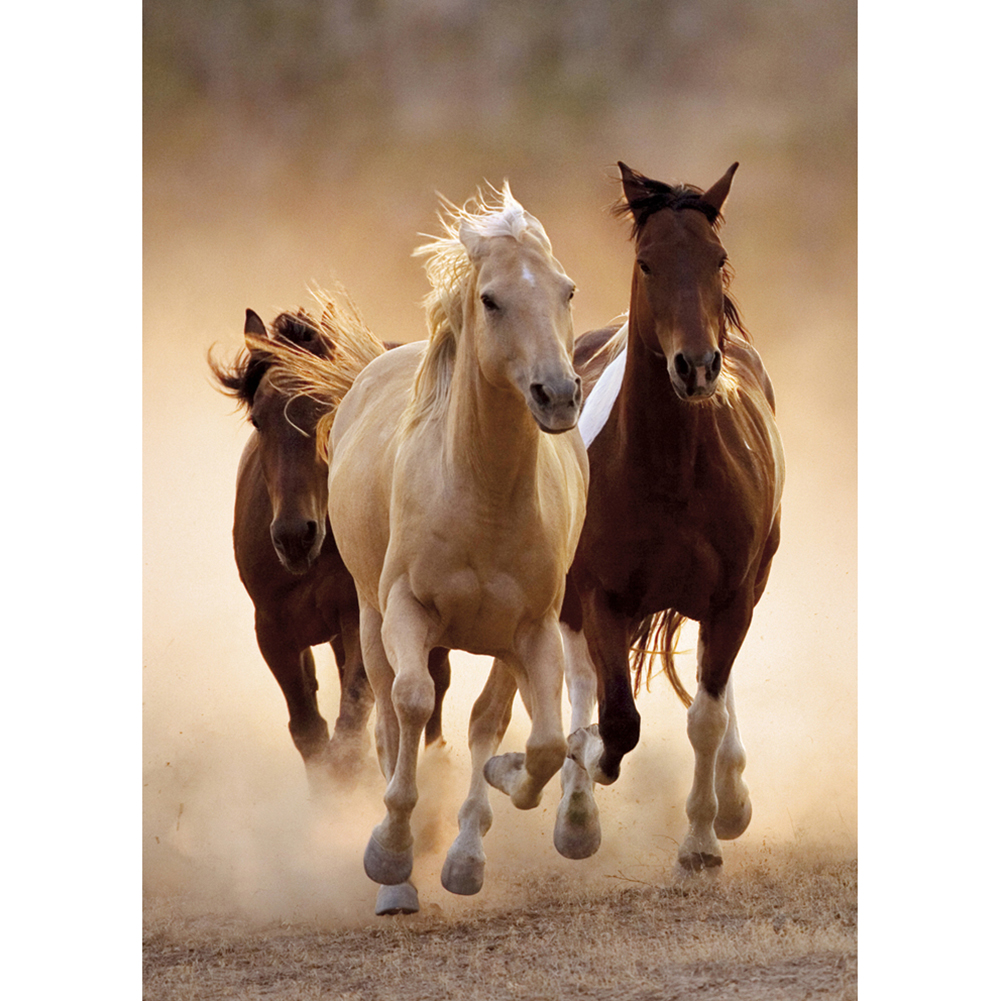 

Horse - Round Drill Diamond Painting - 30*40CM, 501 Original