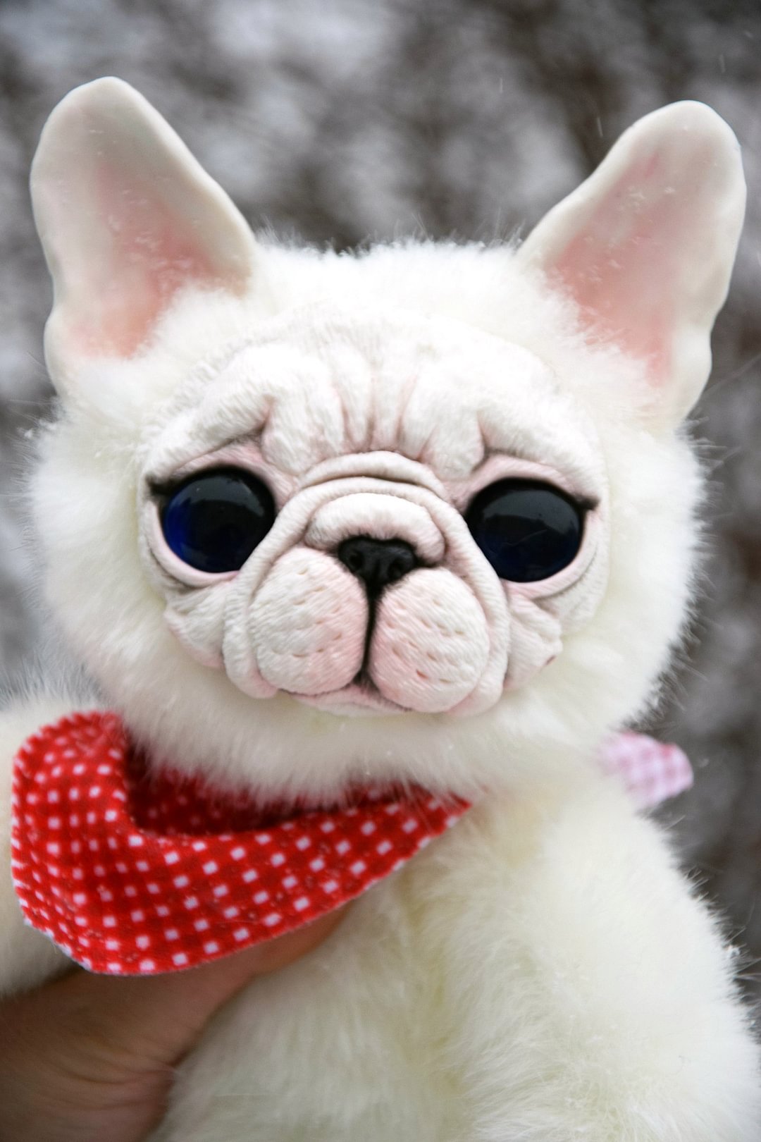 French Bulldog