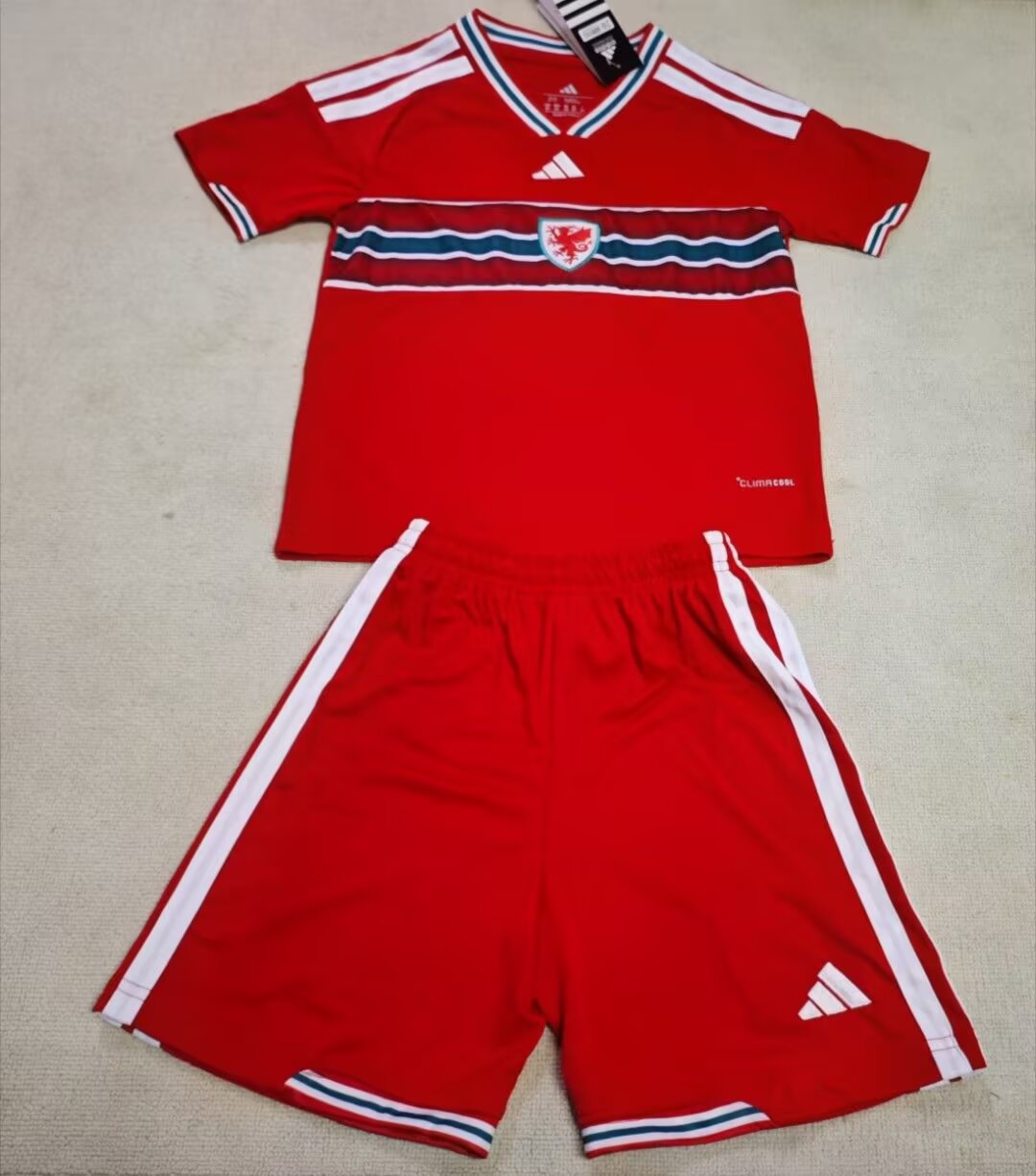 2026 Kids Size Wales Home Football Jersey