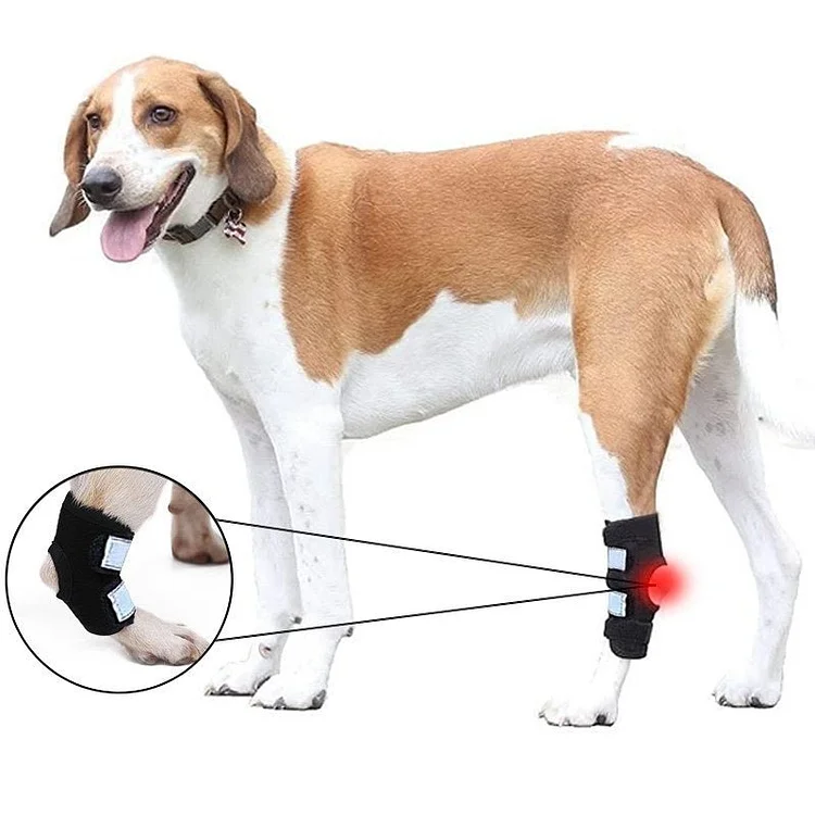 Rear Dog Leg Hock Brace With Reflective Straps