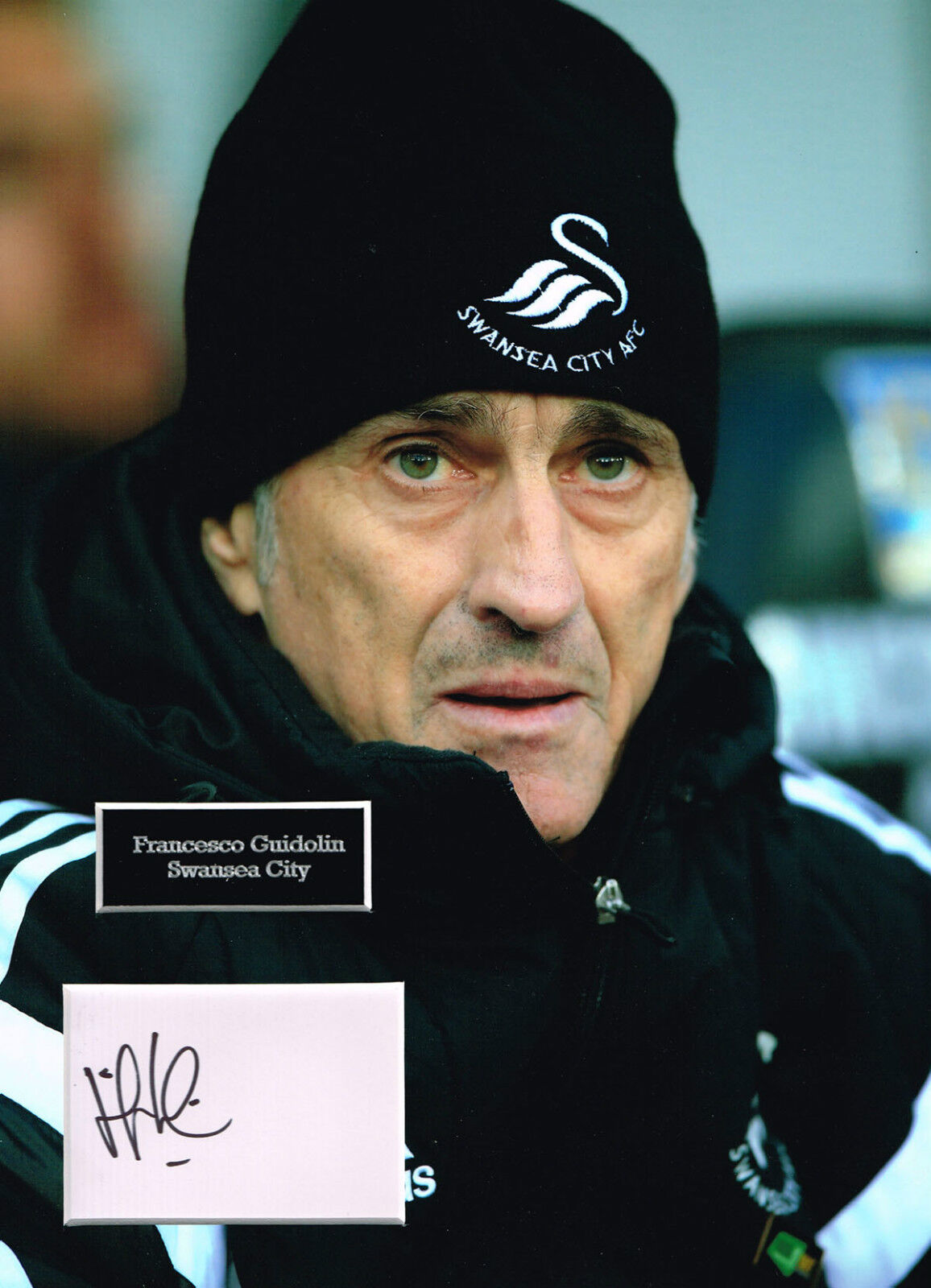 Francesco GUIDOLIN SIGNED Autograph 16x12 Photo Poster painting Mount AFTAL COA Swansea Manager