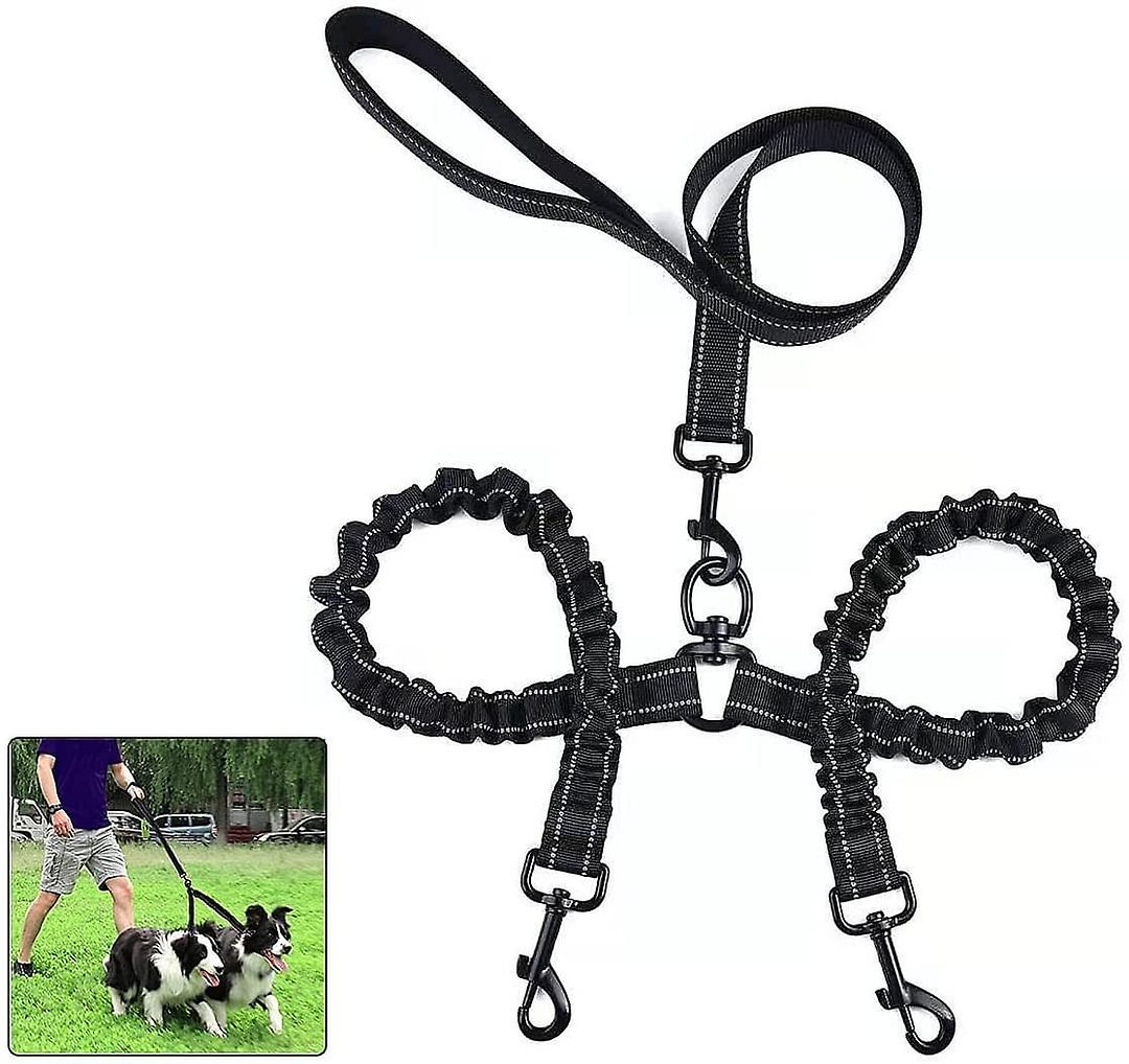 Double Dog Leash For 2 Dogs,dog Leash