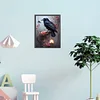 Diamond Painting-Square AB Drill Crow(45*35CM)