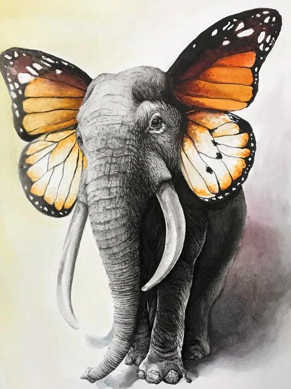 

Butterfly Elephant – Paint By Numbers - 40*50CM, 501 Original