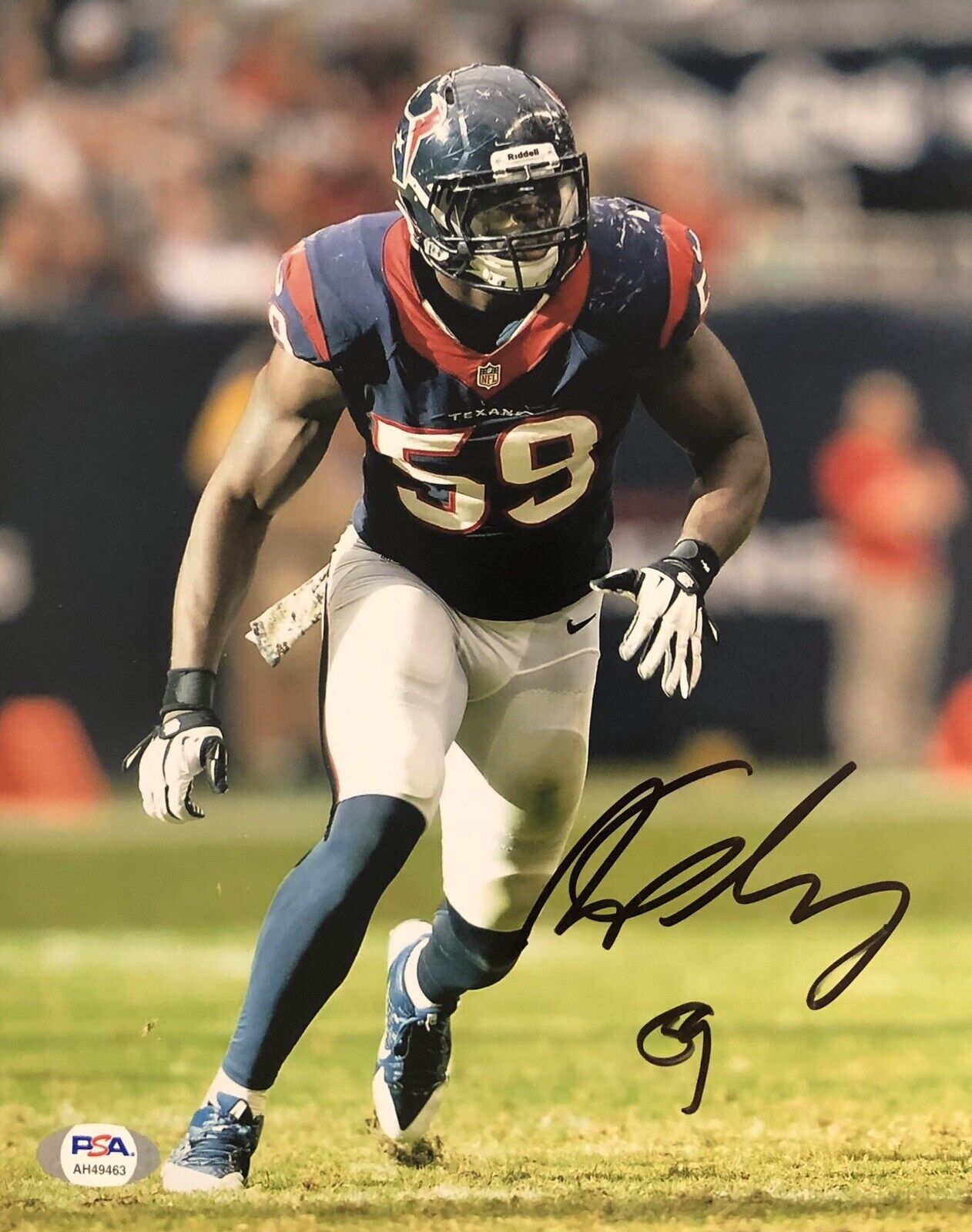 Whitney Mercilus Signed Autographed Houston Texans 8x10 Photo Poster painting Psa/Dna