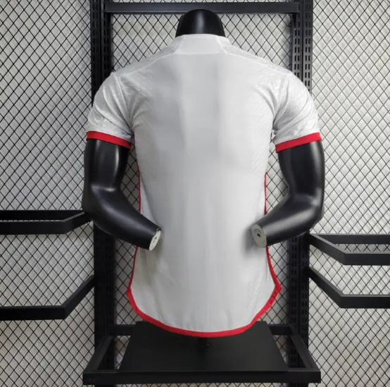 2024/2025 Flamengo Away Player Version Men's Football T-Shirt Thai Quality