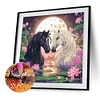 Schwarzes Pferd wei&szlig;es Pferd - speziell geformte Diamantmalerei - 30*30cm