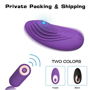 Clitoral Stimulator Panty Vibrator Sex Toys