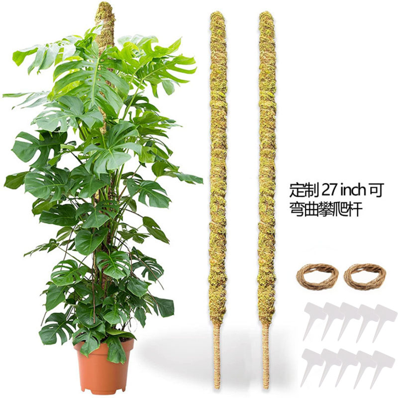 

Moss Pole - Pack of 2 Moss Stick with 2 Jute Strings and 10 Plant Labels, 501 Original