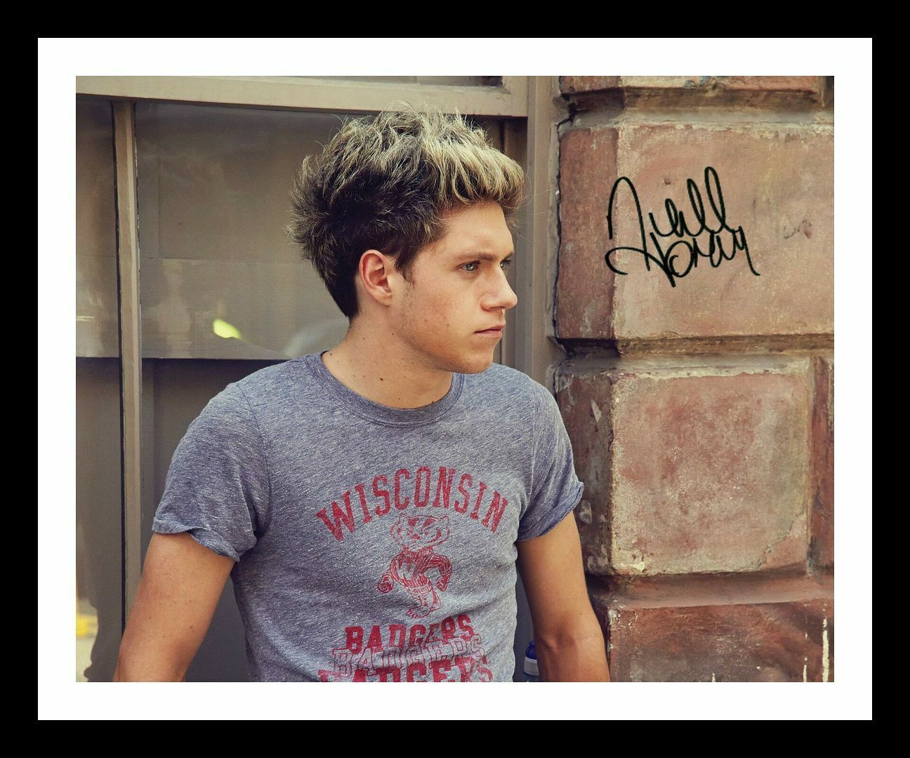 Niall Horan Autograph Signed & Framed Photo Poster painting 2