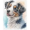 Australian Shepherd Dog-11CT Stamped Cross Stitch 40*50cm/15.75*19.69in