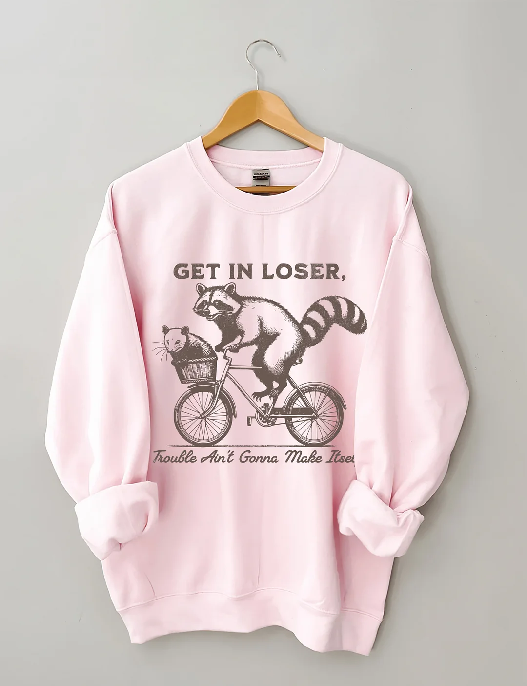 Funny Raccoon & Opossum Sweatshirt