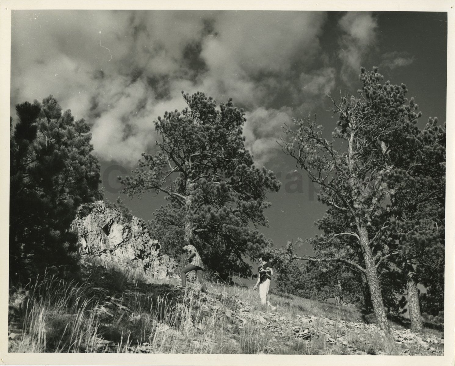 South Dakota History - Vintage 8x10 Publication Photo Poster paintinggraph - Bear Butte