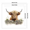 (Stamped/Counted) Highland Cow Baby-11CT Cross Stitch 40*40cm
