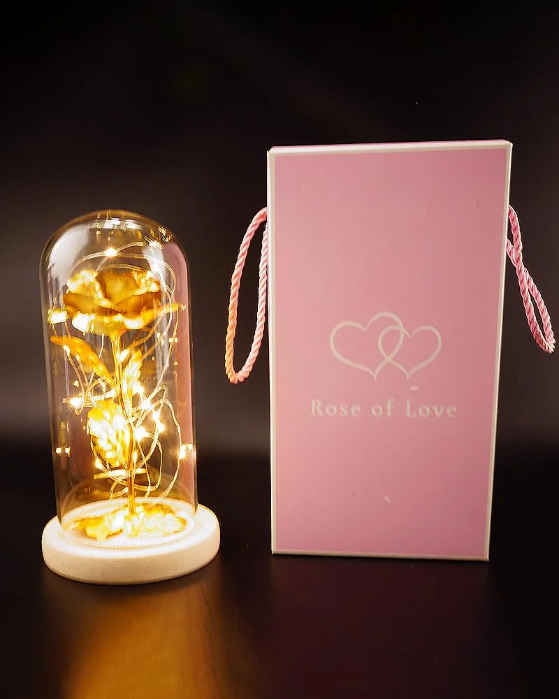 Rose glass cover with LED gift
