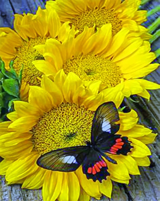 

Butterfly And Sunflowers – Insects Paint By Numbers - 40*50CM, 501 Original