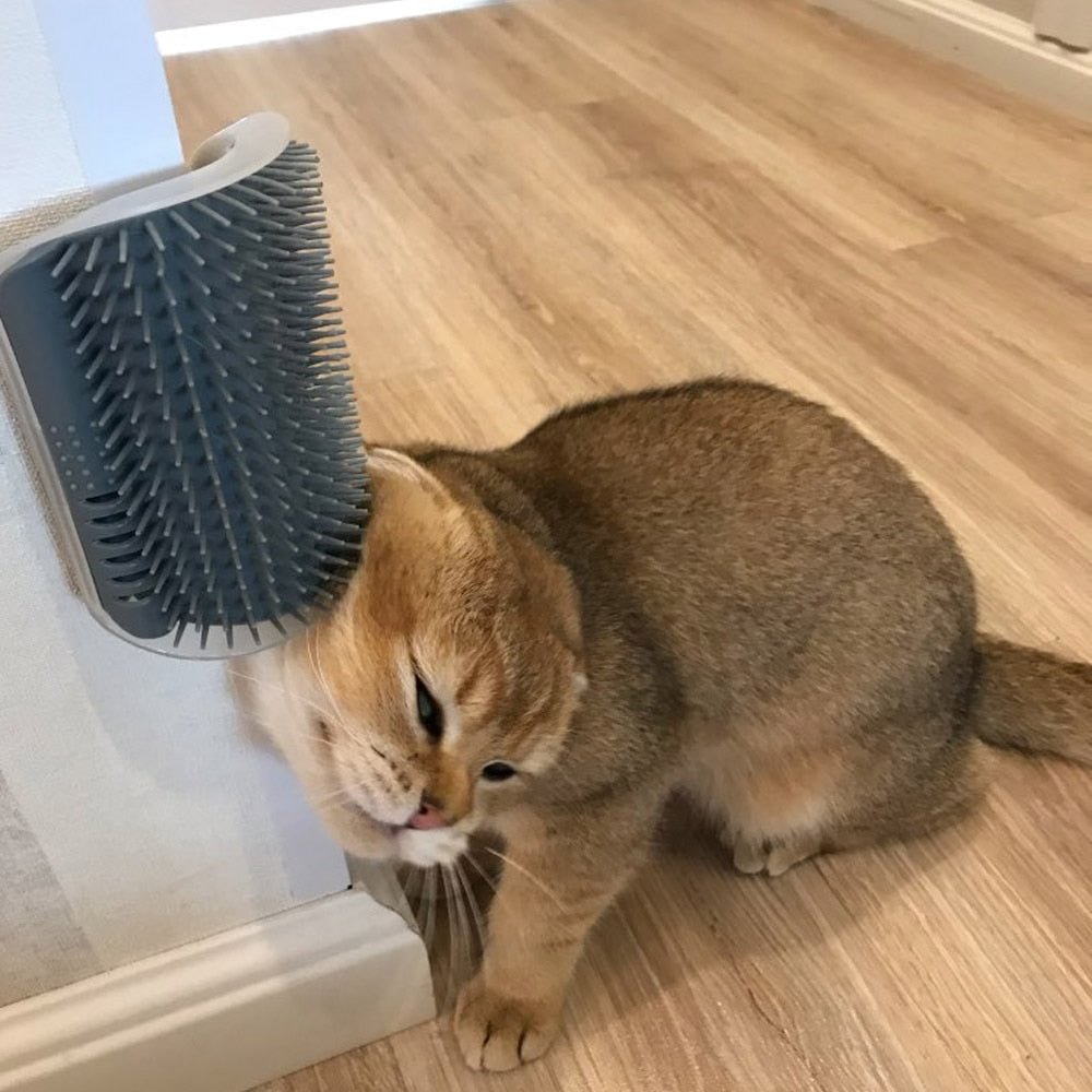 Cat Massage Self Groomer Comb