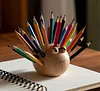Dolphin Wooden Pen Holder Storage Box with 24 Colored Pencils
