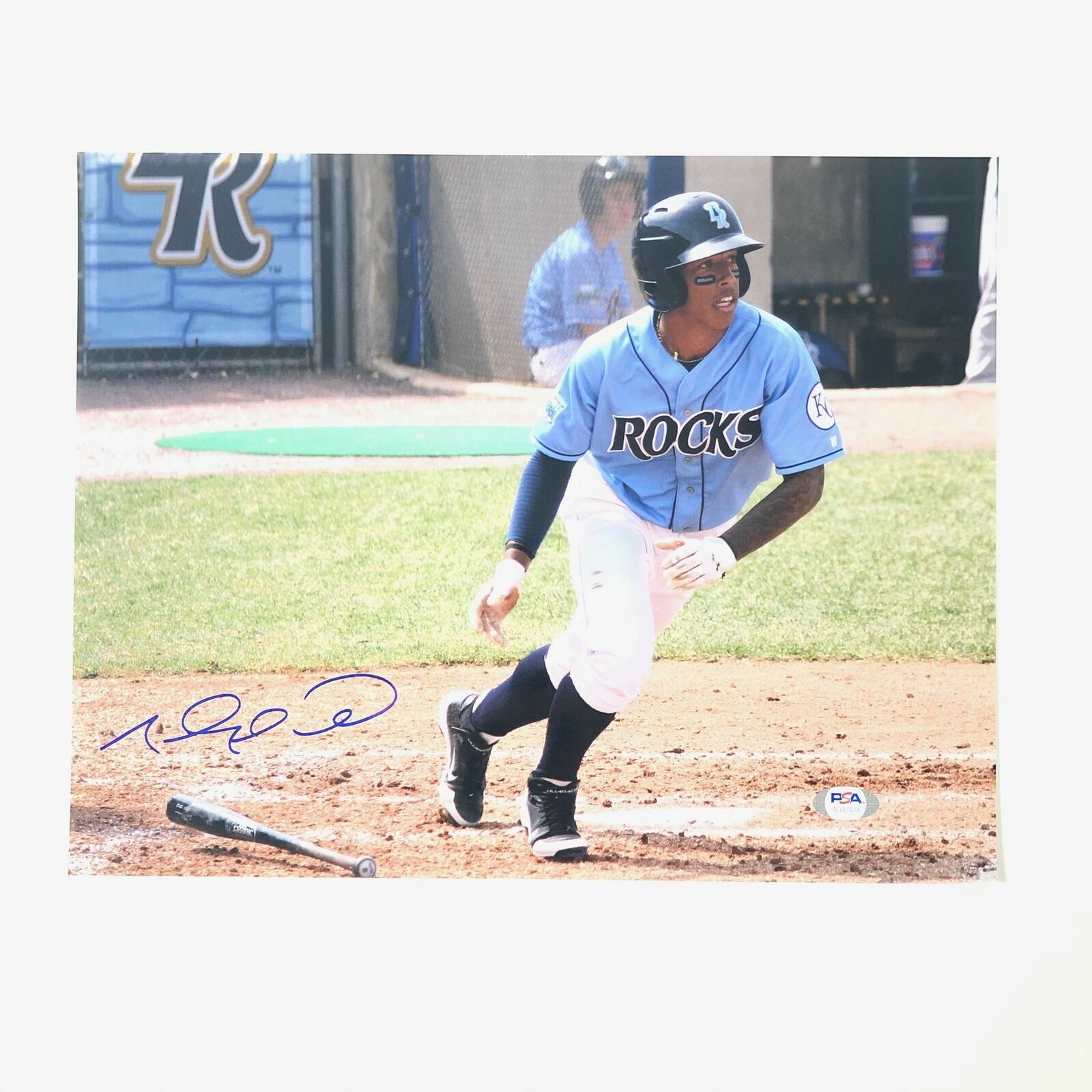 Raul Adalberto Mondesi signed 11x14 Photo Poster painting PSA/DNA Kansas City Royals Autographed