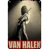 Van Halen - Vintage Metal Signs - 20*30cm/30*40cm - Music