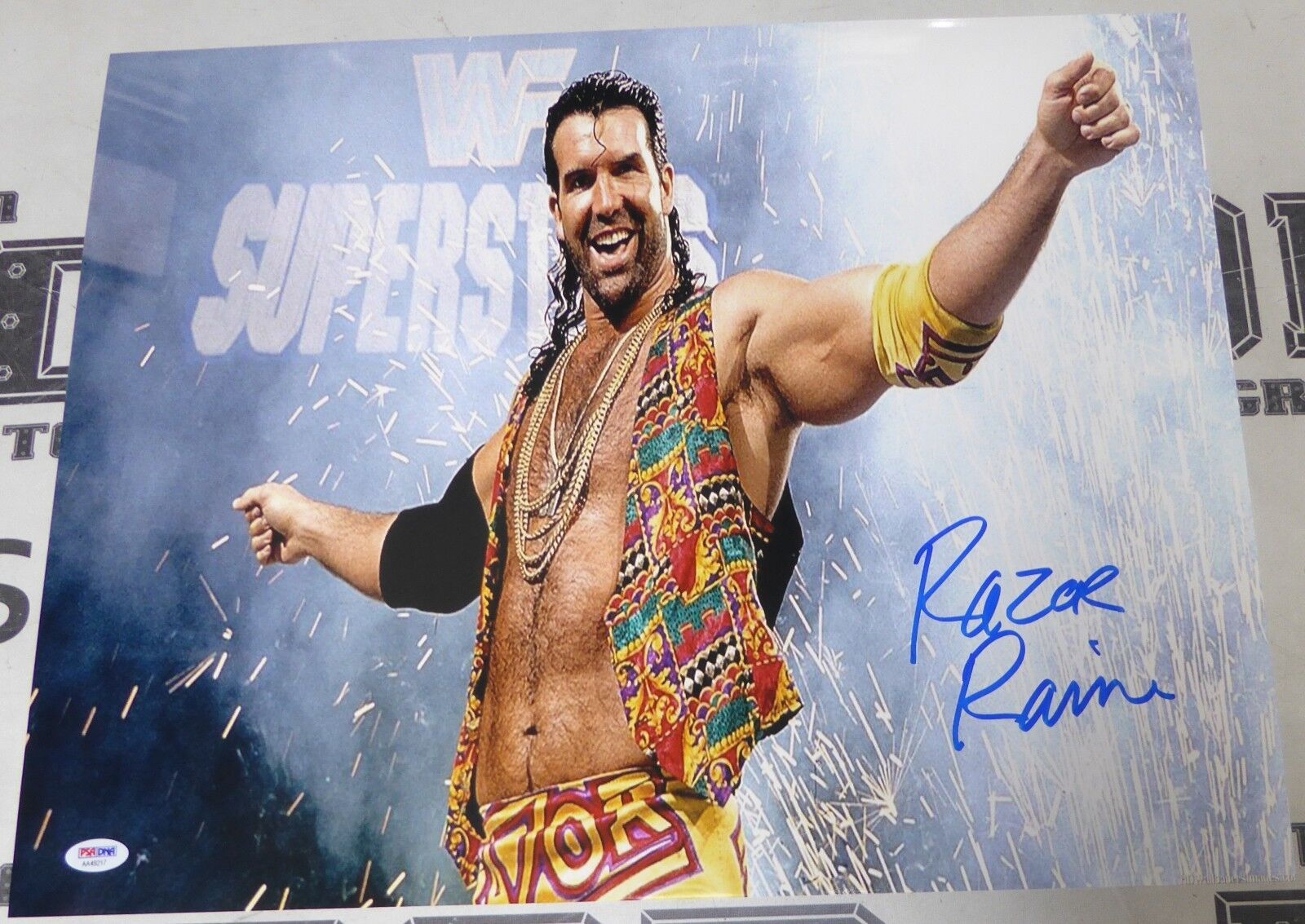 Razor Ramon Signed WWE 16x20 Photo Poster painting PSA/DNA COA Scott Hall Wrestling Picture Auto