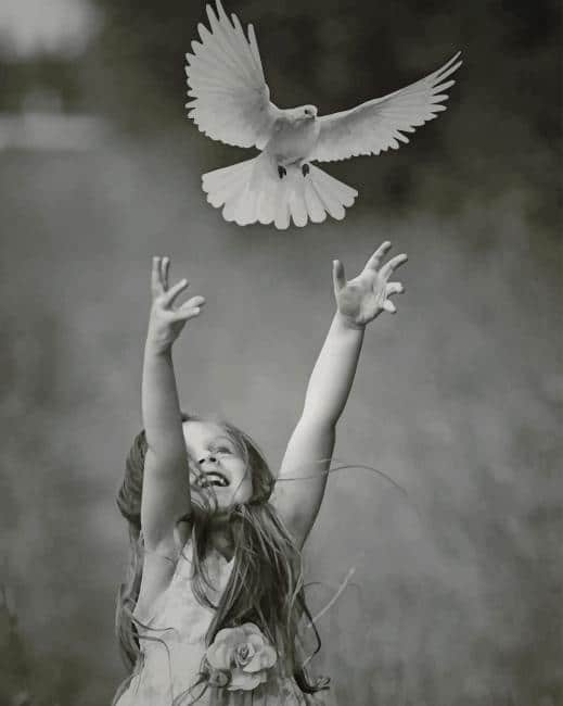 

Girl With A White Pigeon – Paint By Numbers - 40*50CM, 501 Original