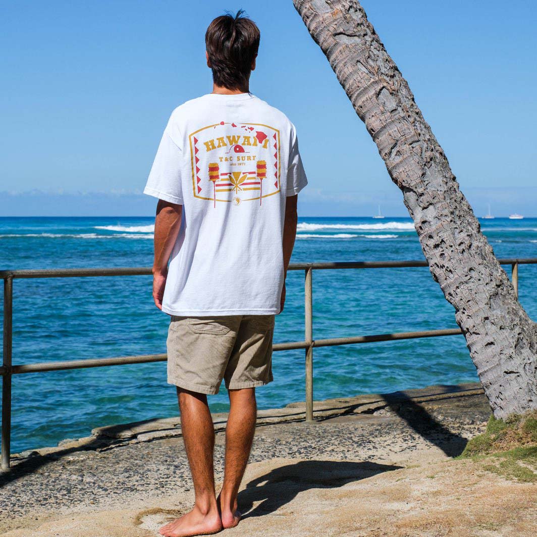 Men's T-Shirt Surf Hawaii Print Beach Daily Round Neck Short Sleeve Tops