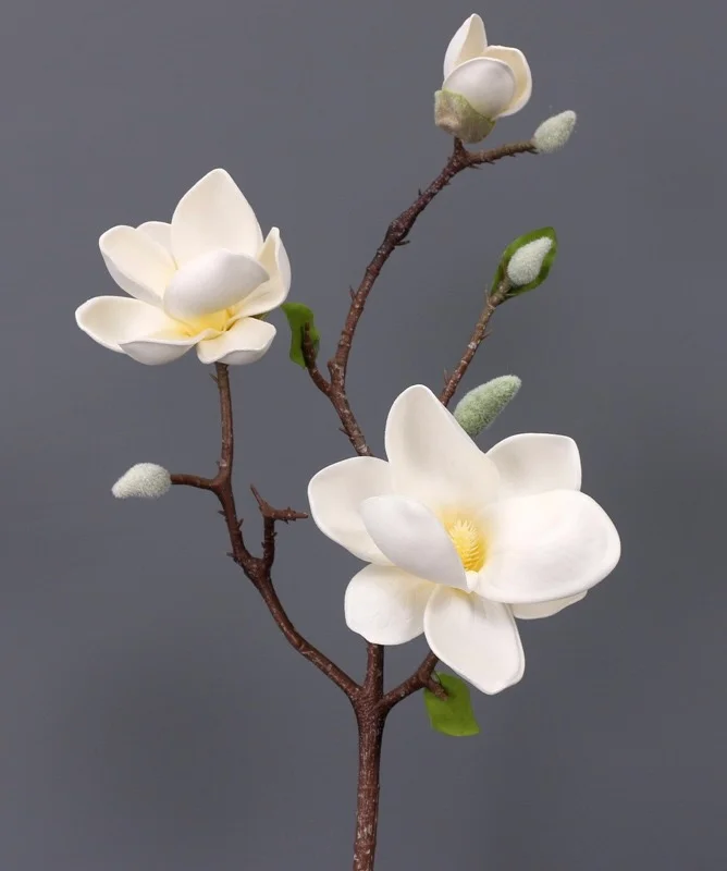 Silk Magnolia in Cream White - 19"