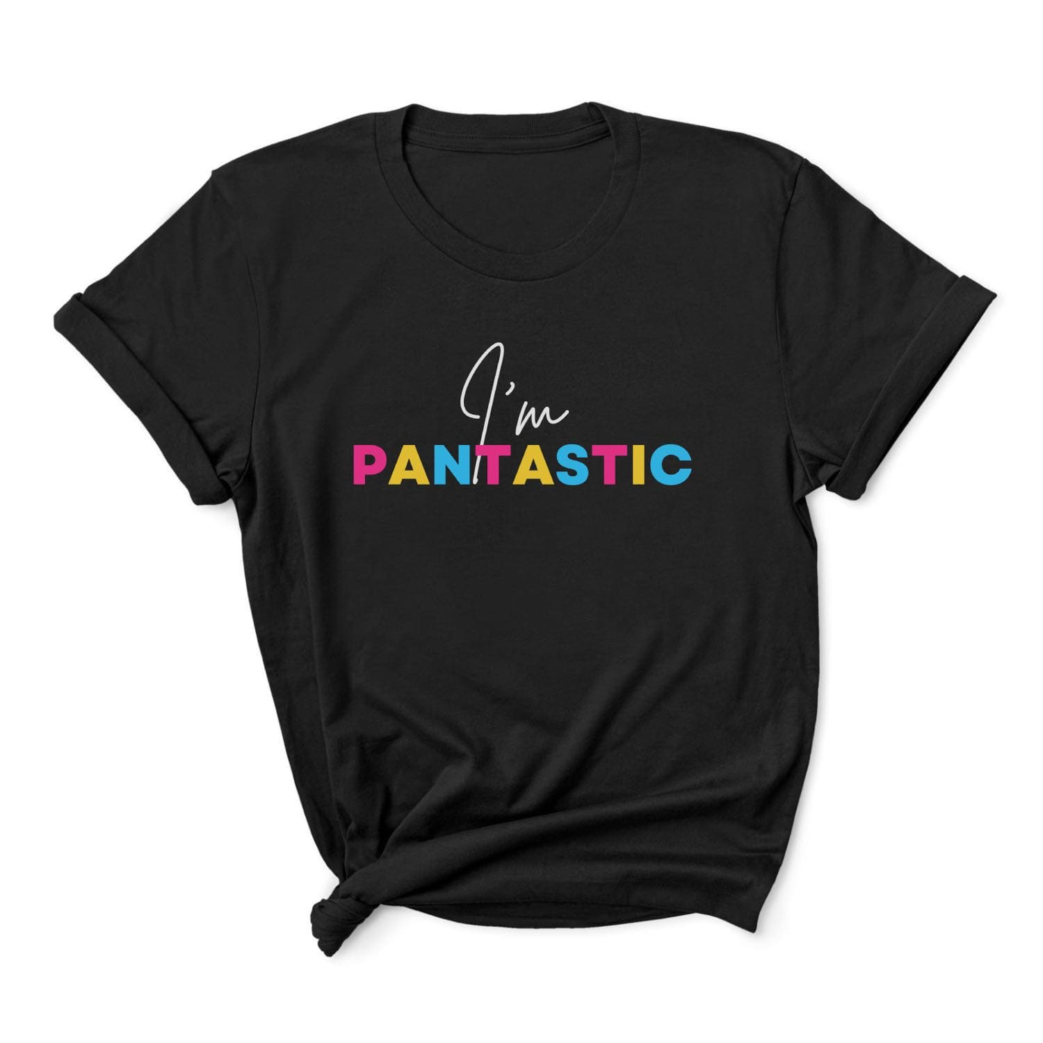 Pantastic pan pride t-shirt