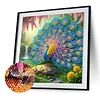 Peacock -Special Shaped Diamond Painting