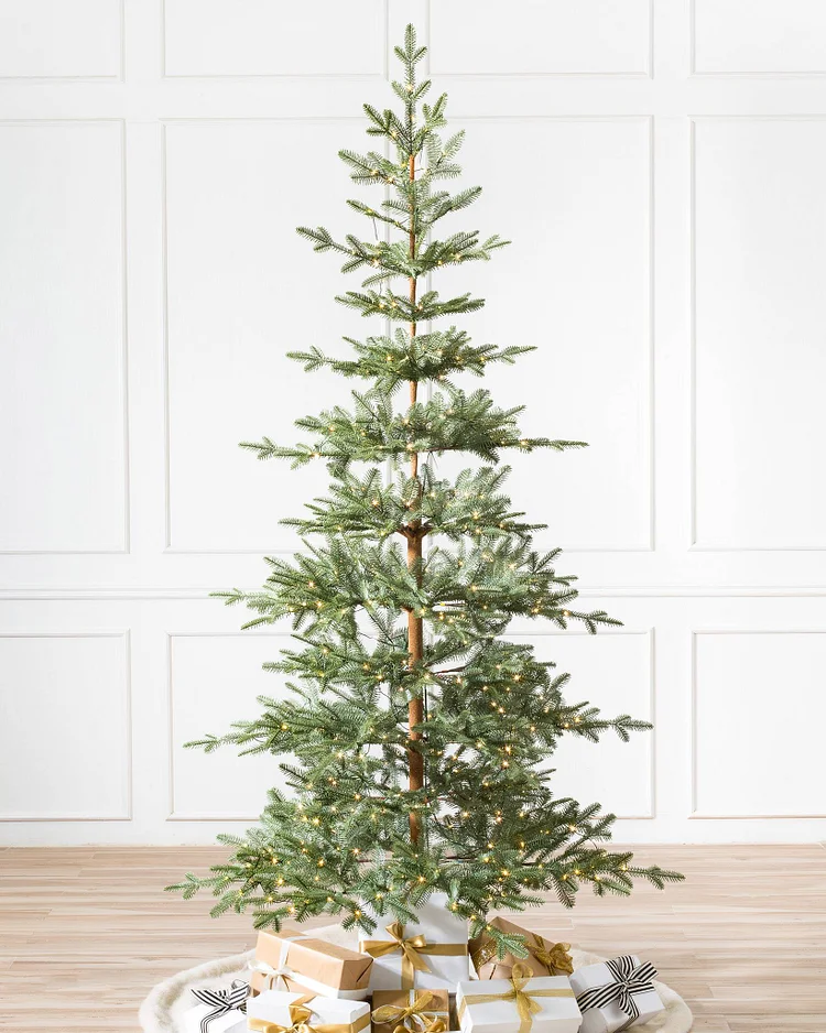 🔥kukelife🔥Alpine Balsam Fir?? Tree