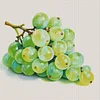 Food Series: Grapes-14CT Stamped Cross Stitch Egyptian Cotton 50*50cm/19.69*19.69in tapestrymarket