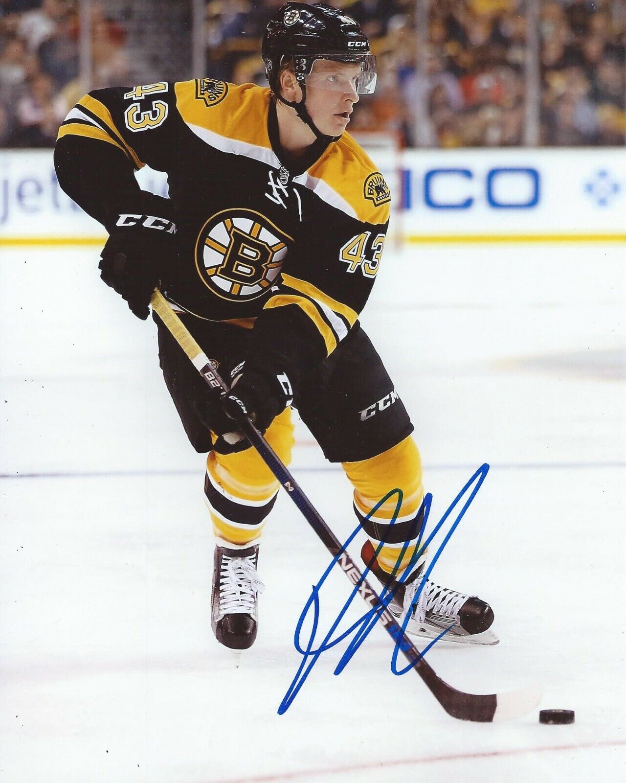 Danton Heinen Signed 8x10 Photo Poster painting Boston Bruins Autographed COA