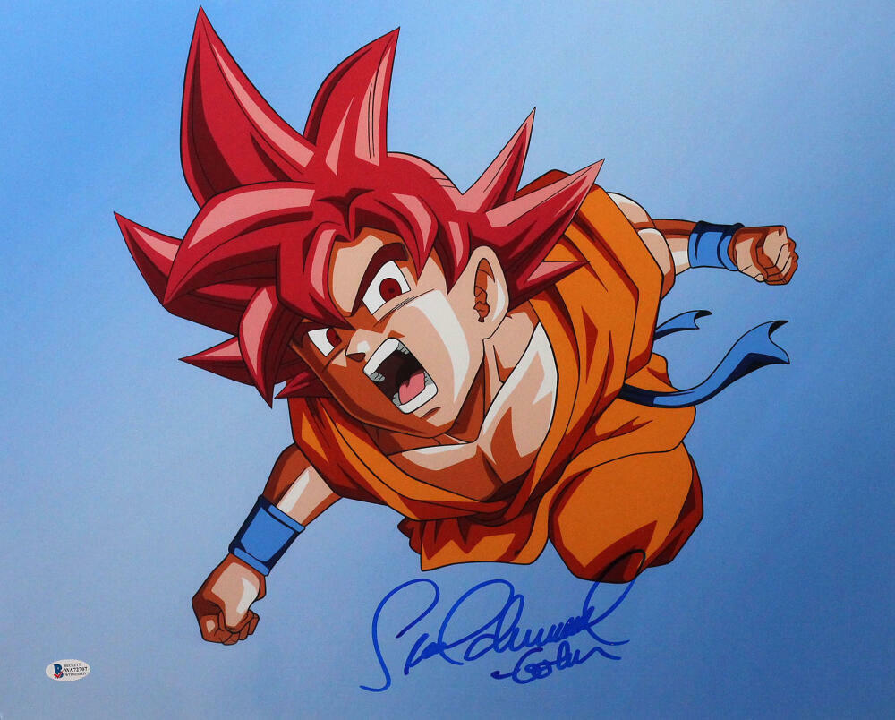 Sean Schemmel Autographed 16x20 Dragon Ball Z Photo Poster painting w/Goku- Beckett W Auth *Blue