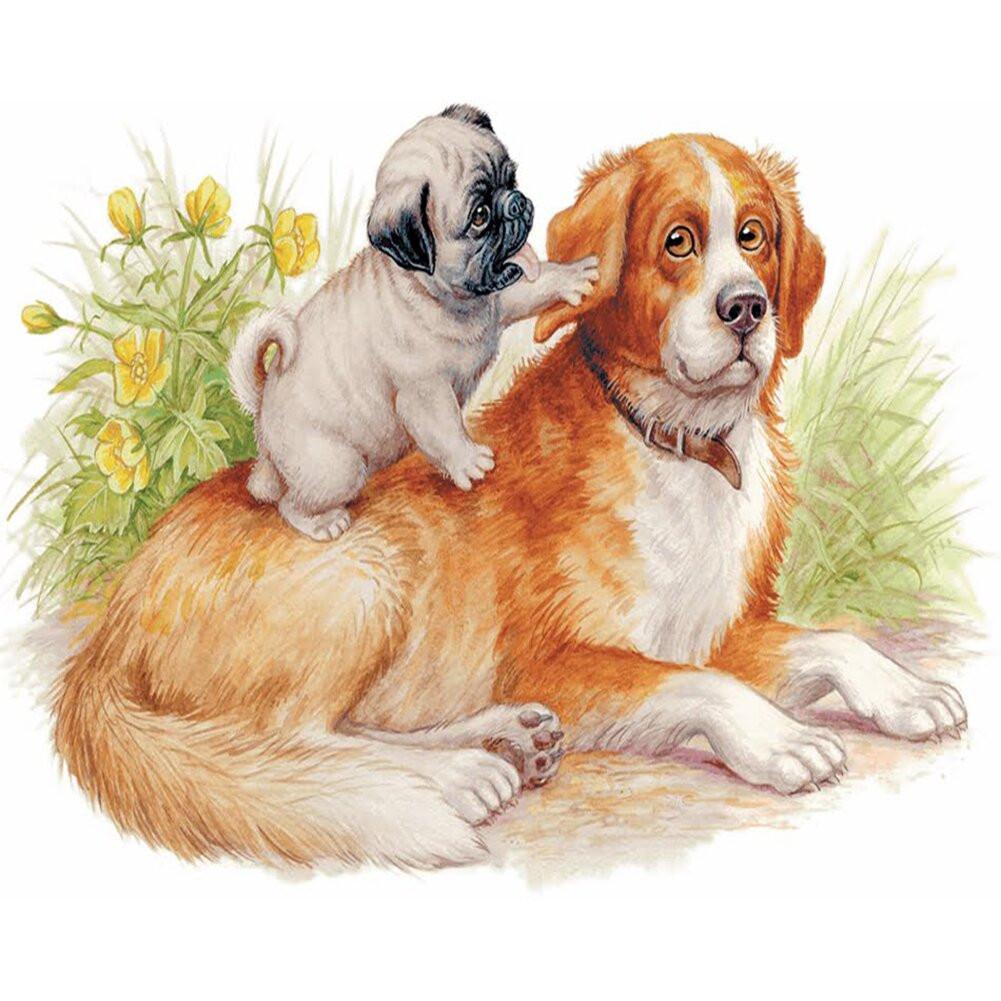 DIY Painting By Numbers | dog